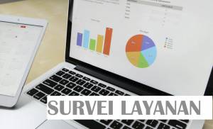 Survei layanan 